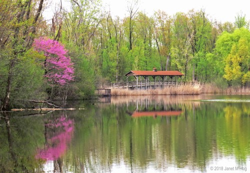 Photo of Robert H. Long Nature Park