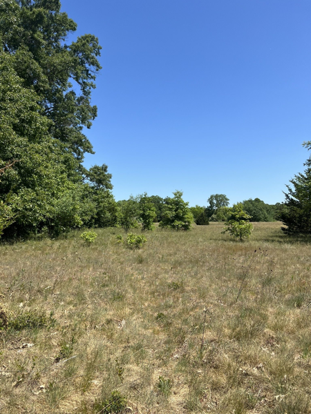 Thumbnail Victory Park